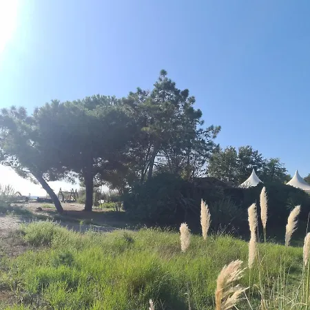 Viulettu D'amore Lägenhet