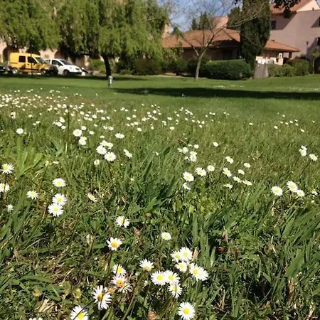 Apartment Viulettu D'amore San-Nicolao