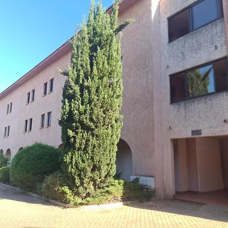 Viulettu D'amore * San-Nicolao