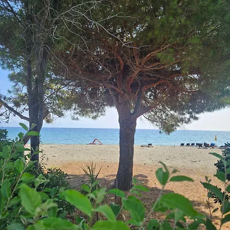 Διαμέρισμα Viulettu D'amore *