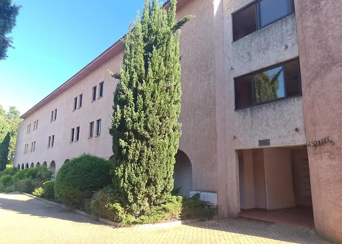 Viulettu D'amore * San-Nicolao