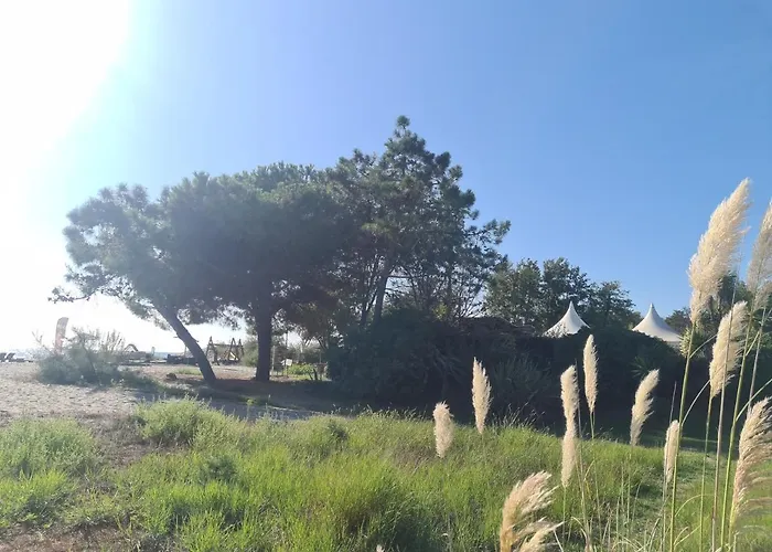 Viulettu D'amore Appartement